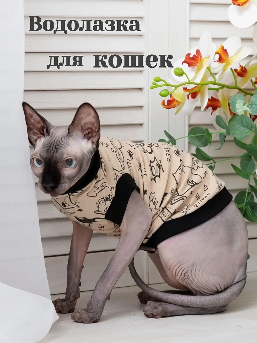 Как выбрать и где купить свитер для кошки