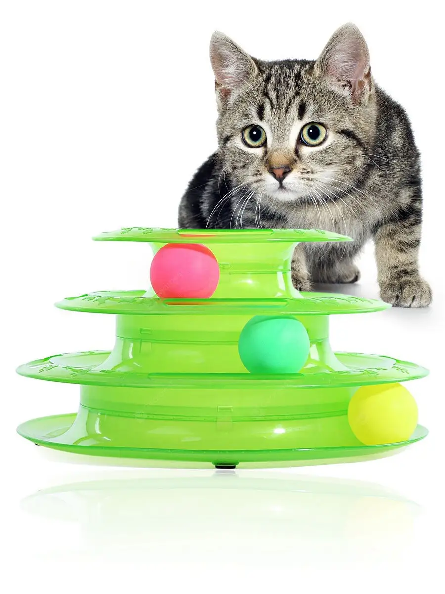 Идеи самодельных игрушек для кошки