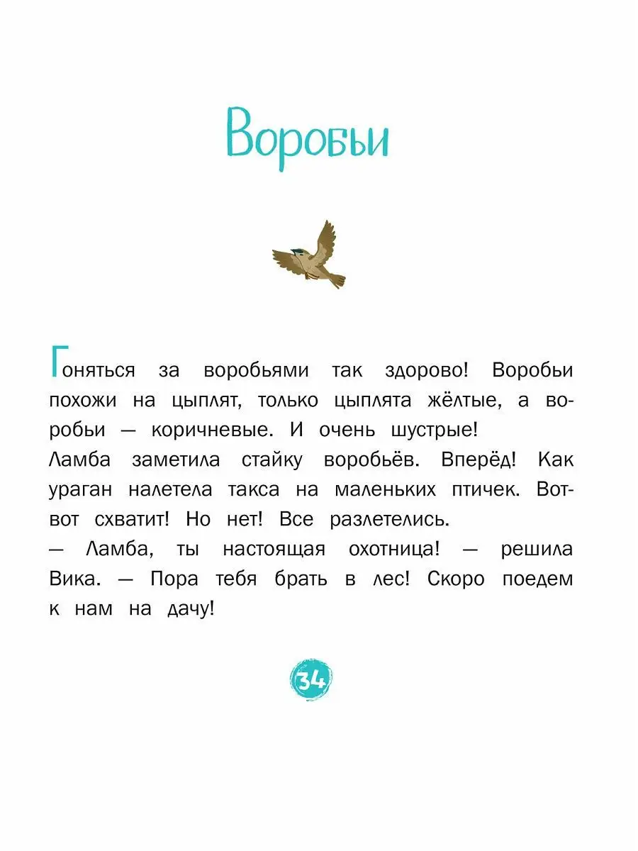 Каждой таксе нужен дом! 30 историй для первого чтения Просвещение/Бином  детства 10044056 купить за 411 ₽ в интернет-магазине Wildberries