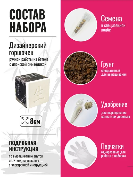 ЭкоКлуб Набор для выращивания растений бонсай Айва Японская, вариант, фото 2