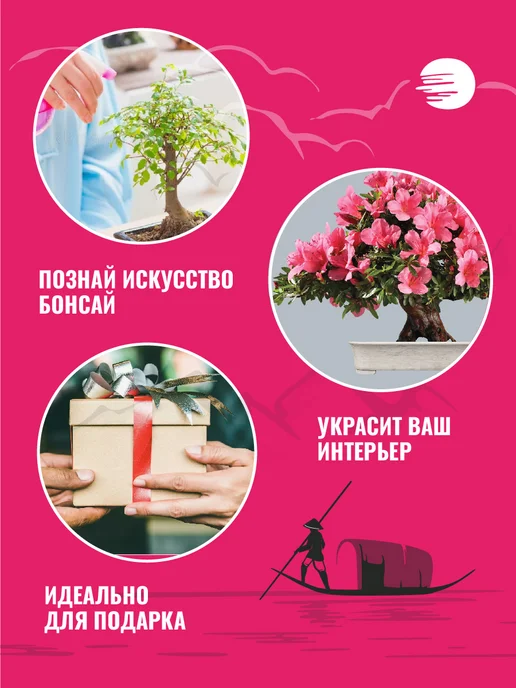 ЭкоКлуб Набор для выращивания растений бонсай Айва Японская, вариант, фото 3
