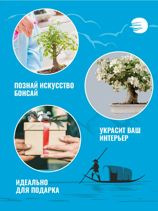ЭкоКлуб Набор для выращивания растений бонсай Жасмин, вариант, фото 3