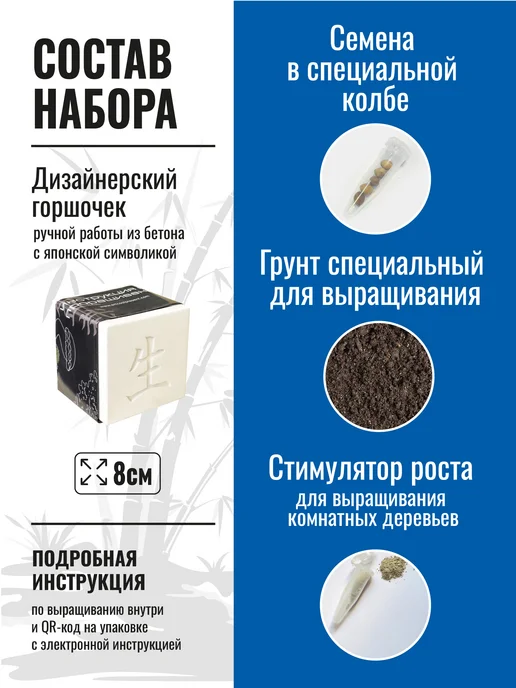 ЭкоКлуб Набор для выращивания растений бонсай Сосна, вариант, фото 2