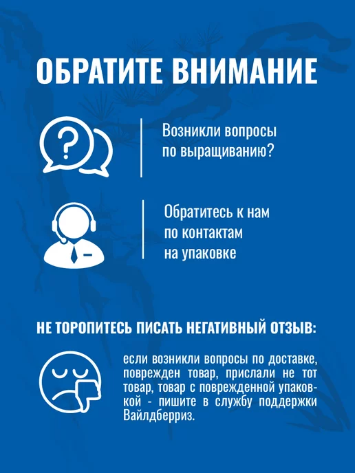 ЭкоКлуб Набор для выращивания растений бонсай Сосна, вариант, фото 6