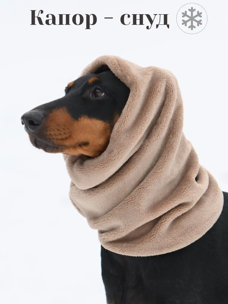 Кепки, шарфы и шапки для собак