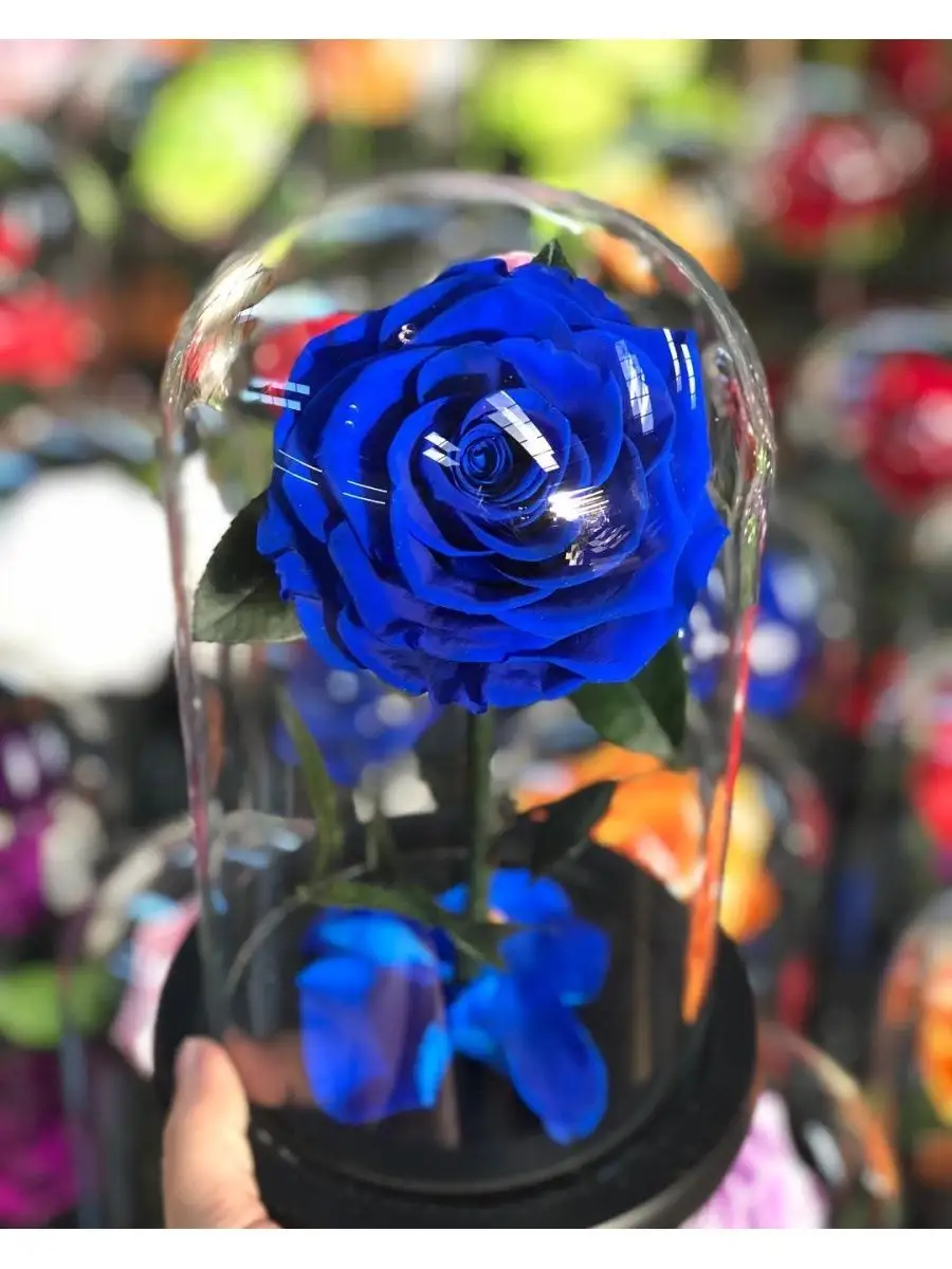 Вечная роза: как сделать трендовое украшение для дома своими руками