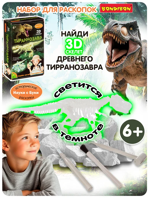 Bondibon Набор для опытов раскопки Тираннозавр скелет динозавра, зеленый
