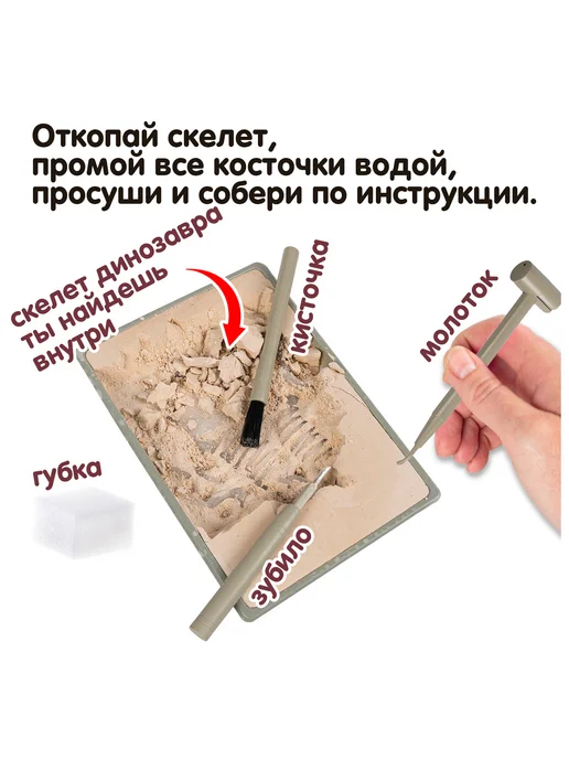 Bondibon Набор для опытов раскопки Тираннозавр скелет динозавра, зеленый, фото 2