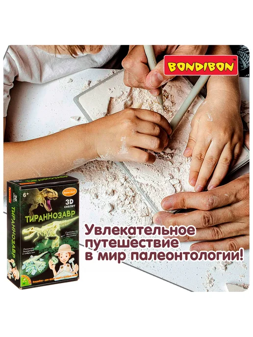 Bondibon Набор для опытов раскопки Тираннозавр скелет динозавра, зеленый, фото 4