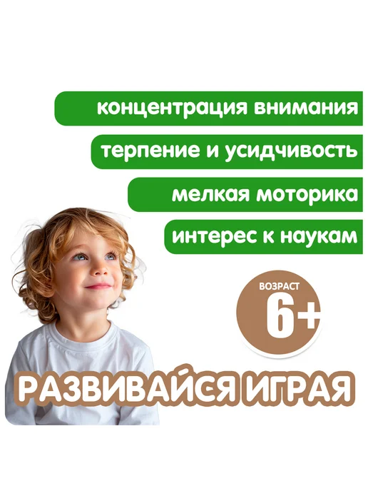 Bondibon Набор для опытов раскопки Тираннозавр скелет динозавра, зеленый, фото 5