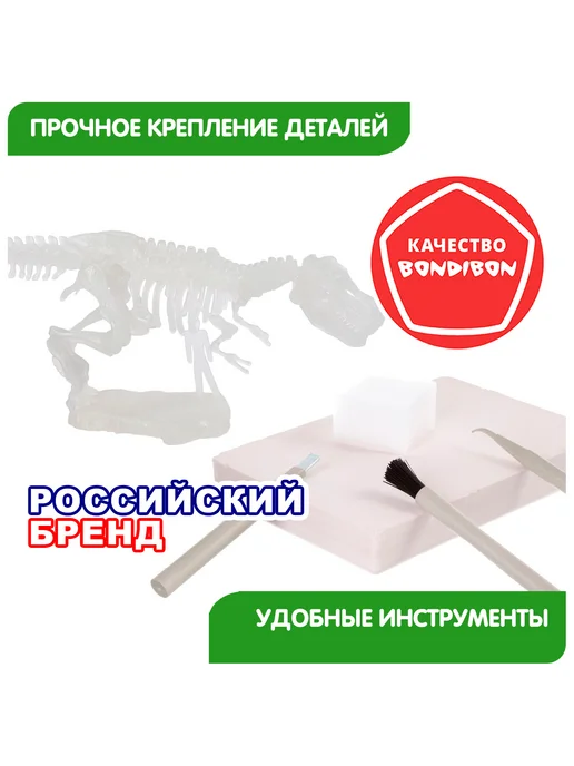 Bondibon Набор для опытов раскопки Тираннозавр скелет динозавра, зеленый, фото 6