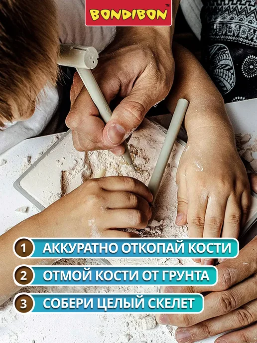 Bondibon Раскопки Динозавров 3D скелет Трицератопс, белый, фото 2