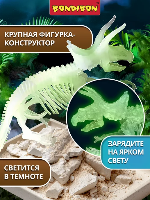Bondibon Раскопки Динозавров 3D скелет Трицератопс, белый, фото 5