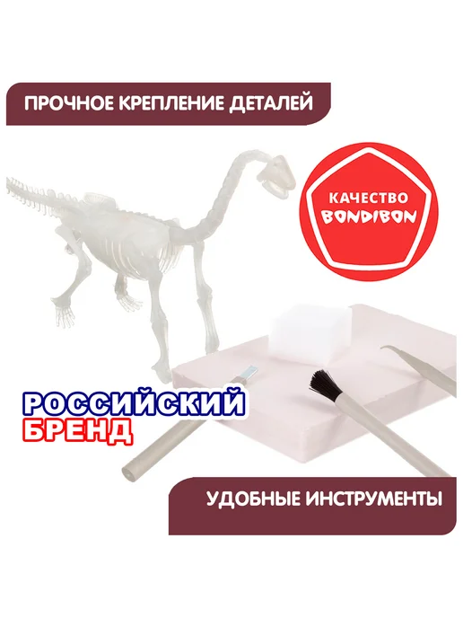 Bondibon Набор для опытов Раскопки Динозавр Брахиозавр, белый, фото 6