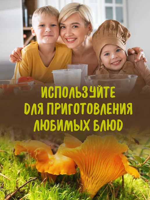 Дикорус Сушеные лисички (высший сорт) грибы 50 гр, сбор 2026 года, 50 г, фото 5