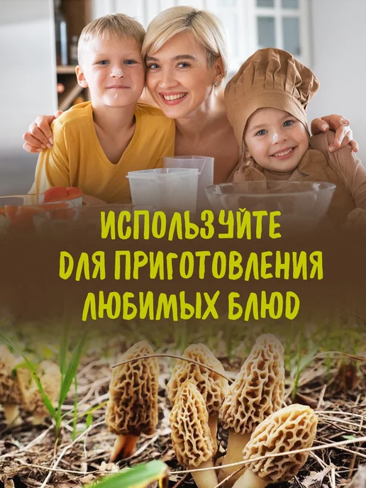 Дикорус Сушеные сморчки 50 гр, (высший сорт), сбор 2026 года, 50 г, фото 5