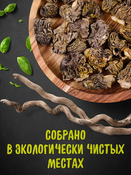 Дикорус Сушеные сморчки 50 гр, (высший сорт), сбор 2026 года, 50 г, фото 6