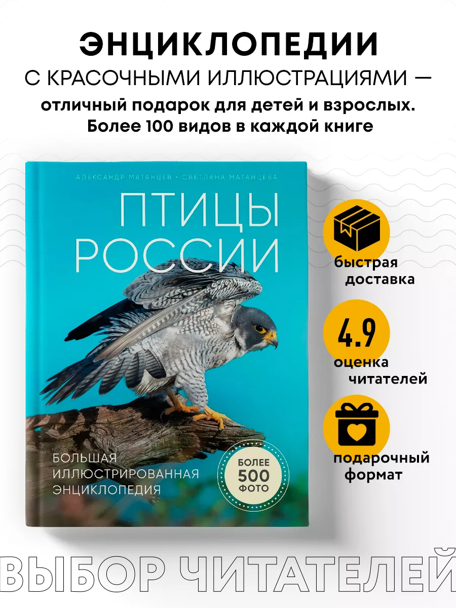 Птицы России. Большая иллюстрированная энциклопедия Эксмо 10420082 купить  за 1 033 ₽ в интернет-магазине Wildberries