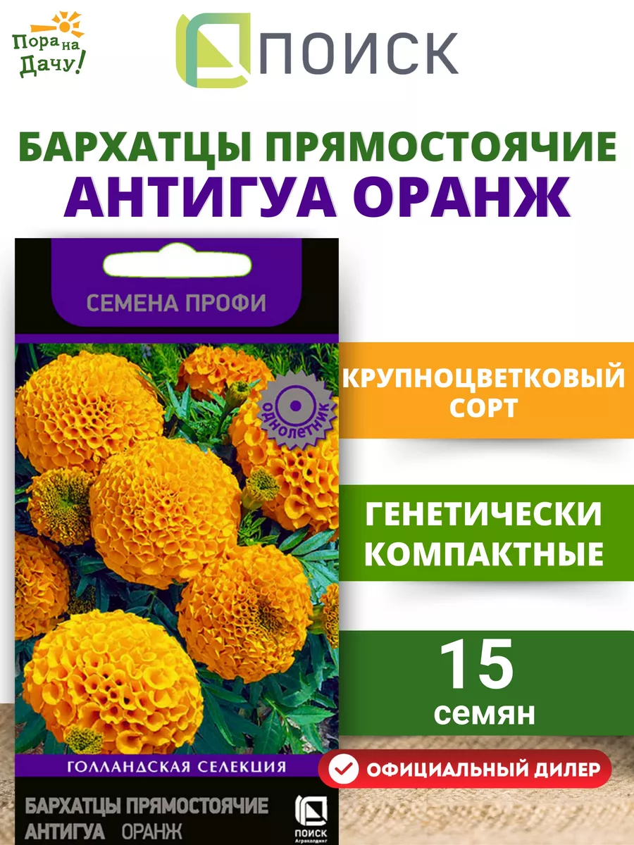 Семена цветов Бархатцы прямостоячие Антигуа Оранж, 15 шт ПОИСК 10441250  купить в интернет-магазине Wildberries