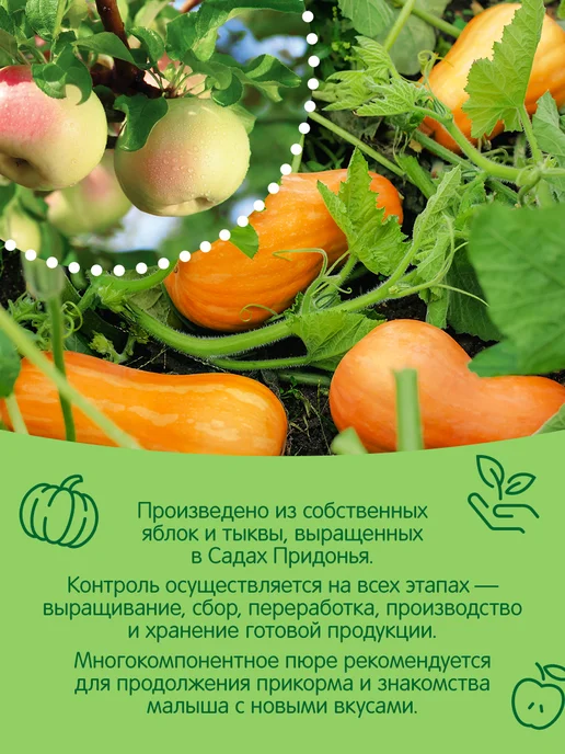 Сады Придонья Пюре яблоко-тыква 125г, с 5 мес (18шт), 125 г, 18 шт, фото 5