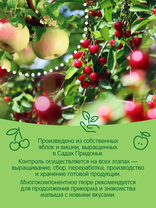 Сады Придонья Пюре яблоко-вишня 125г, с 6 мес (18шт), 125 г, 18 шт, фото 5
