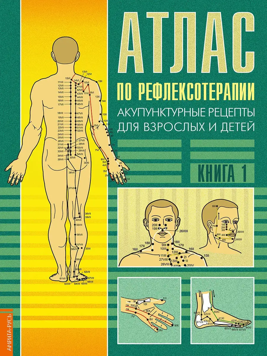 Атлас по рефлексотерапии. Кн.1 Амрита 10494892 купить за 284 ₽ в  интернет-магазине Wildberries