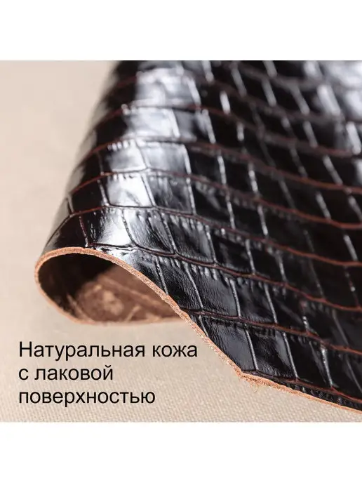 PREMIER` Зажим для денег M-59 Темно-коричневый крокодил (лак) № 83, коричневый, фото 5