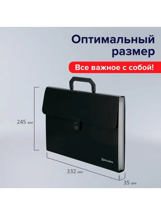 Brauberg Папка для документов. 13 отделений, черный, фото 2