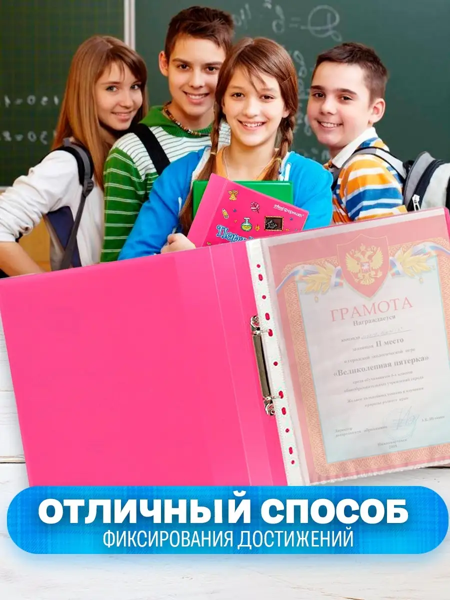 Папка портфолио школьника А4 на кольцах Папка школьная schoolФОРМАТ  10572477 купить в интернет-магазине Wildberries