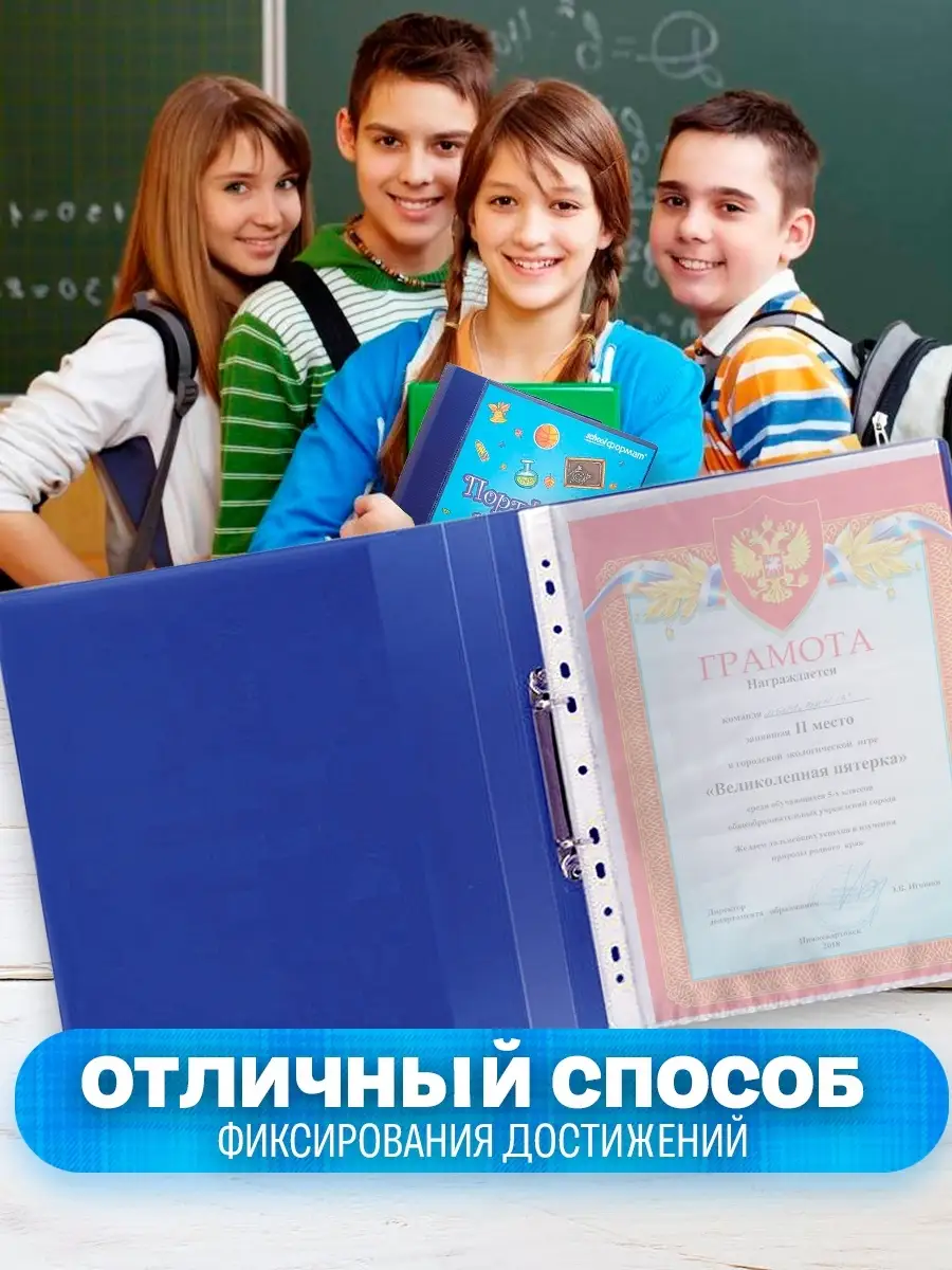 Папка портфолио школьника А4 20 файлов 2 кольца, для ученика schoolФОРМАТ  10572478 купить в интернет-магазине Wildberries