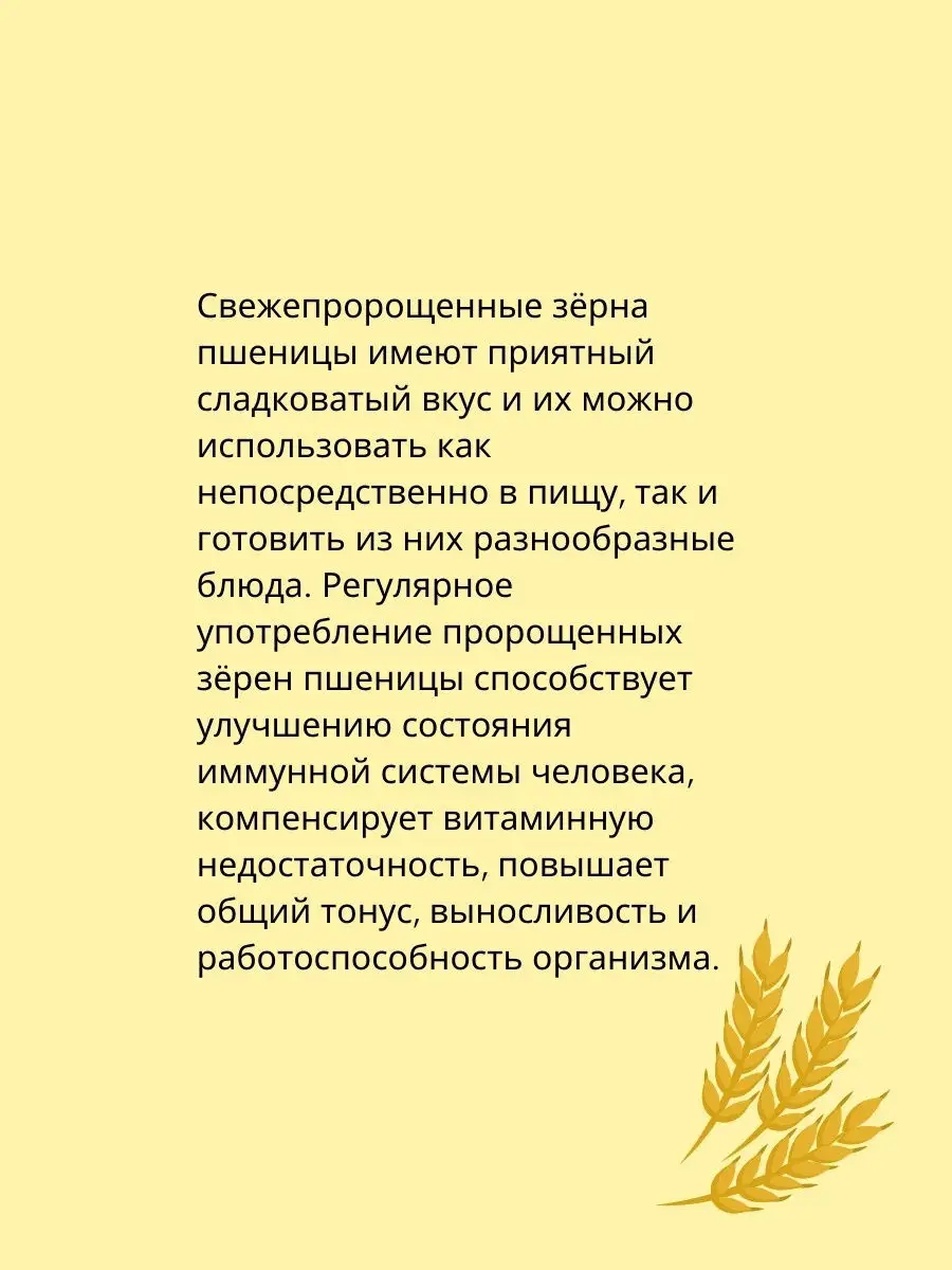 Зерна пшеницы для проращивания, 500 г KAMCHATKA 10583994 купить в  интернет-магазине Wildberries