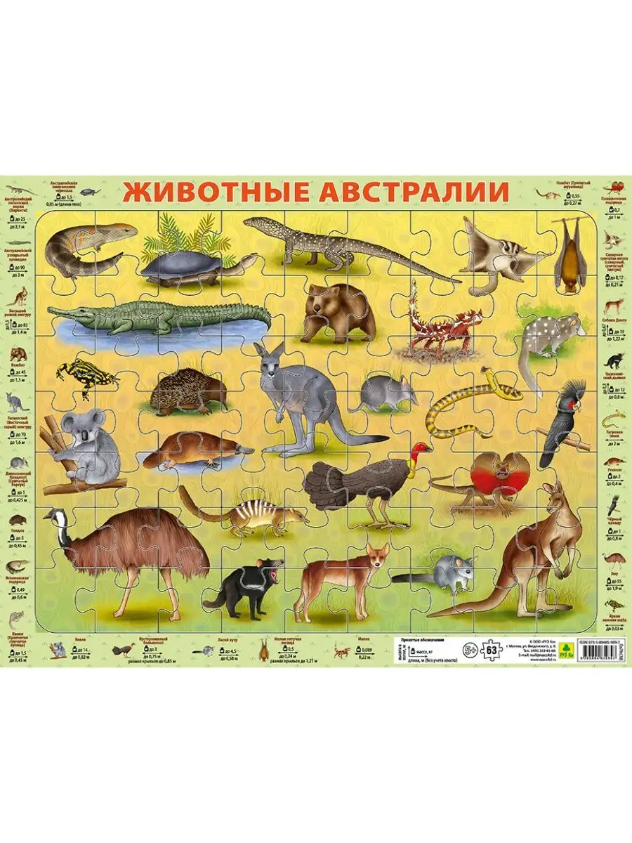 Игры-пазлы в рамке. РУЗ Ко 10592131 купить за 403 ₽ в интернет-магазине  Wildberries