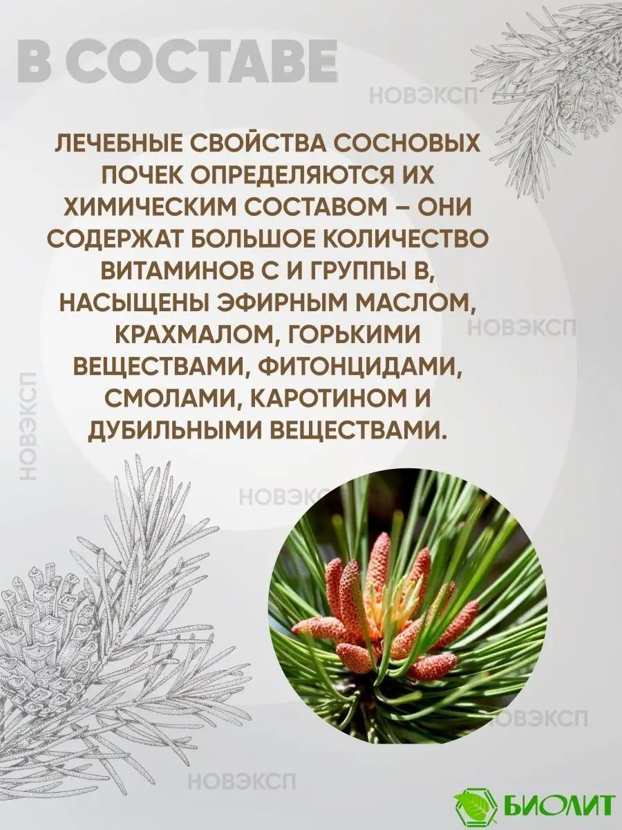 Сироп Сосновая почка 200 мл. от простуды Биолит 10605613 купить за 420 ₽ в  интернет-магазине Wildberries