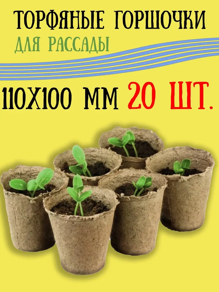 Торфяные горшки для рассады – как выбрать и использовать?