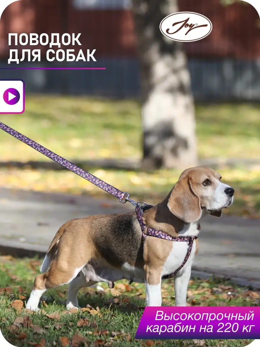 Поводок для собак, поводок для собаки купить в интернет магазине в Москве