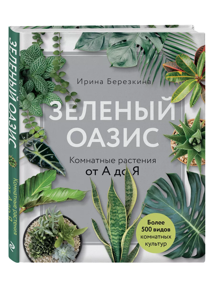 Зеленый оазис. Комнатные растения от А до Я Эксмо 10654364 купить за 1 160  ₽ в интернет-магазине Wildberries