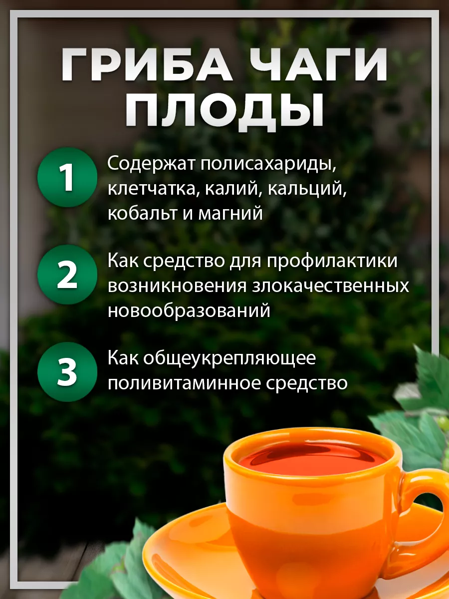 Сироп березового гриба чаги ТРАВЫ БАШКИРИИ 10700476 купить за 209 ₽ в  интернет-магазине Wildberries