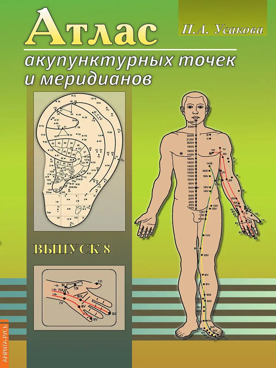 Атлас акупунктурных точек и меридианов Амрита 10714699 купить за 270 ₽ в  интернет-магазине Wildberries