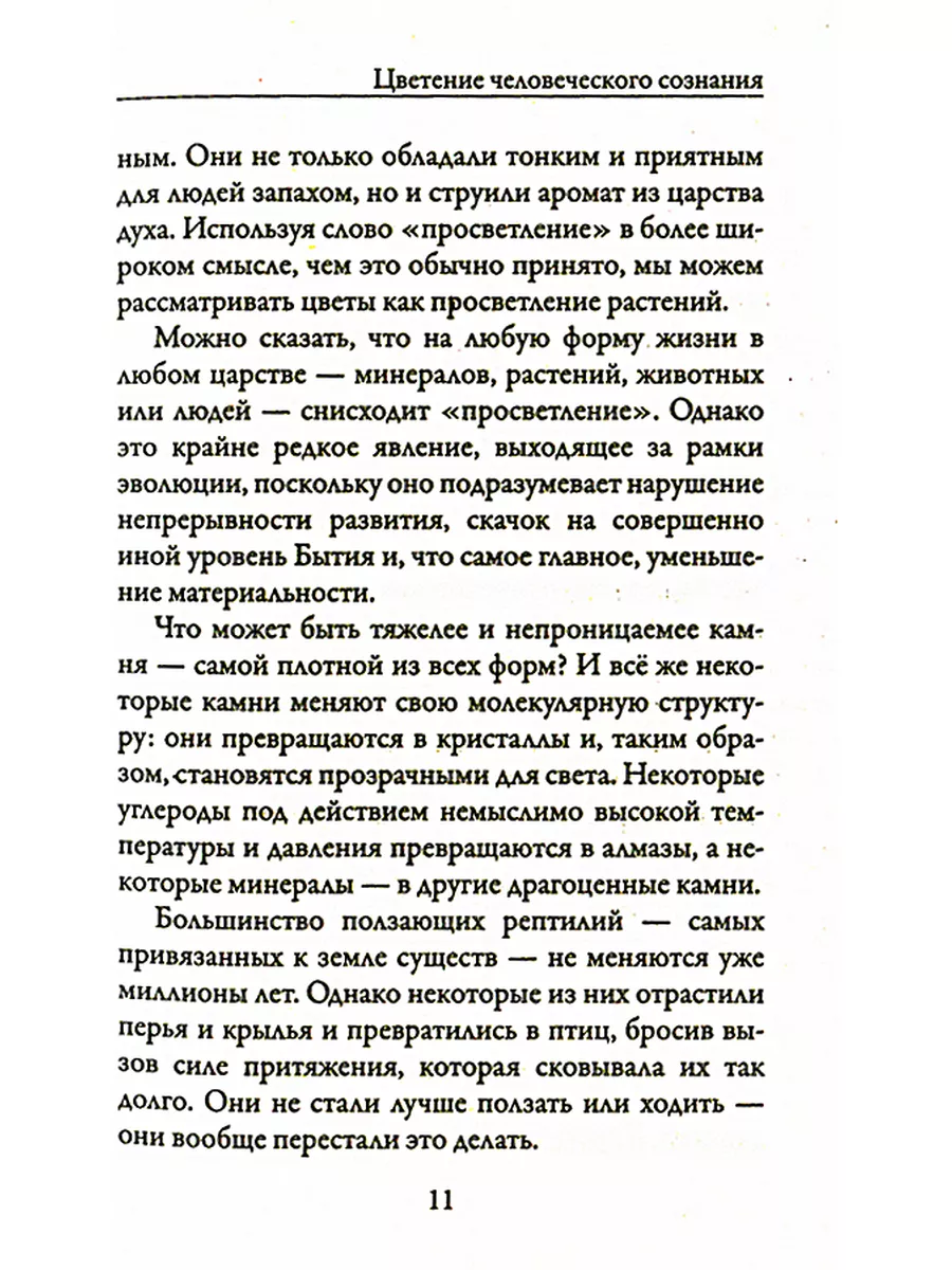 Новая земля. Пробуждение к своей жизненной цели Рипол-Классик 10721625  купить за 417 ₽ в интернет-магазине Wildberries