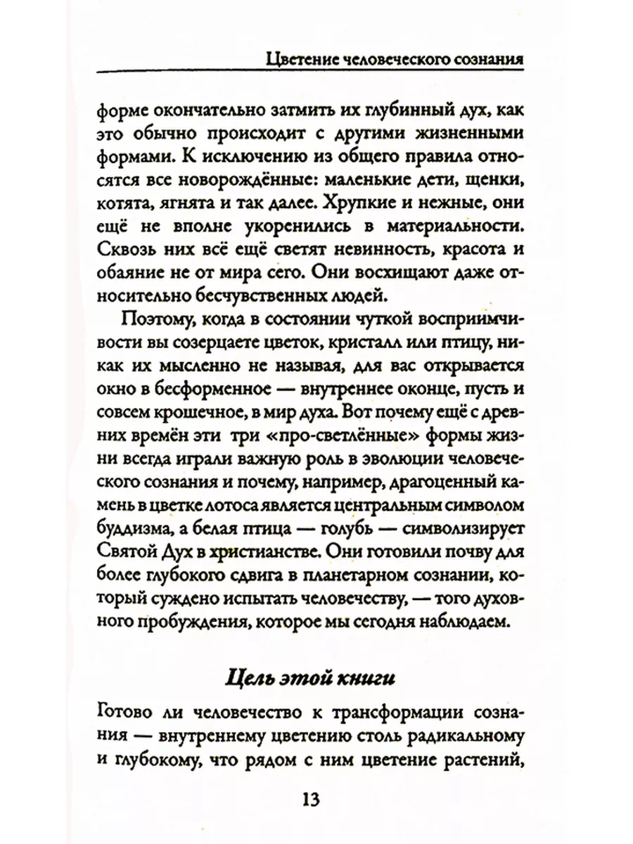 Новая земля. Пробуждение к своей жизненной цели Рипол-Классик 10721625  купить за 417 ₽ в интернет-магазине Wildberries