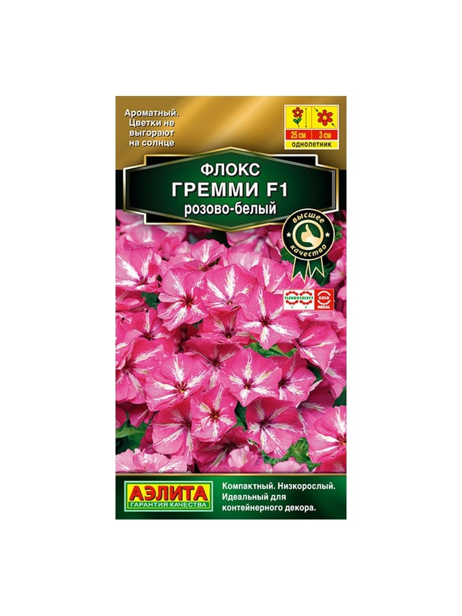 Flowers grammy. Флокс друммонда Грэмми. Флокс друммонда очарование розовое.