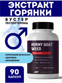 Экстракт горянки 90к Тестостерон PROTEIN.COMPANY 10741968 купить за 693 ₽ в интернет-магазине Wildberries