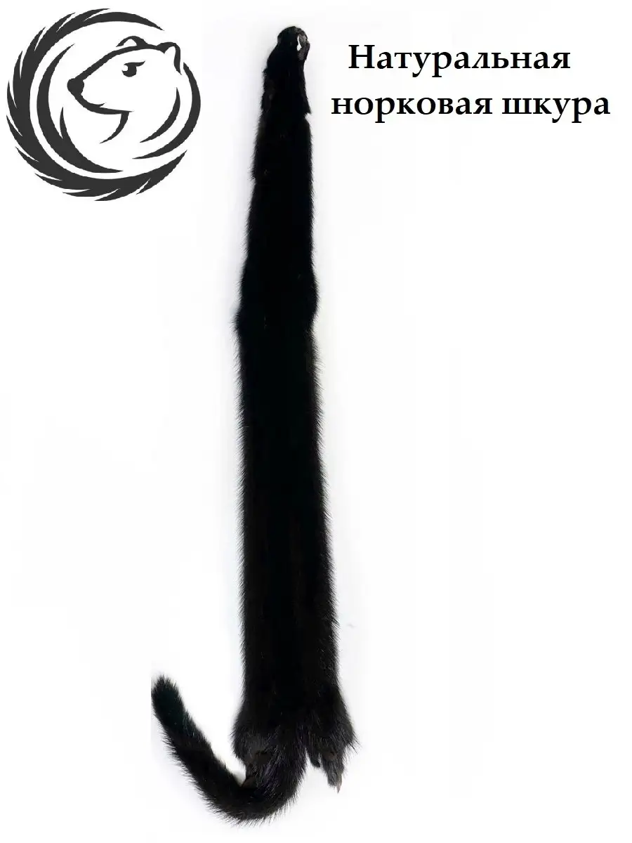 Шкурки Норки Купить