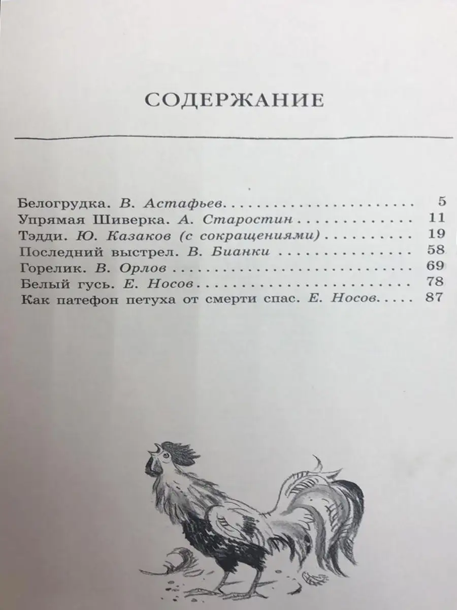 Белогрудка Издательство Мелик-Пашаев 10792578 купить за 374 ₽ в  интернет-магазине Wildberries