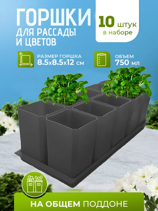 Пеликан Горшки для рассады и цветов зеленые, серый