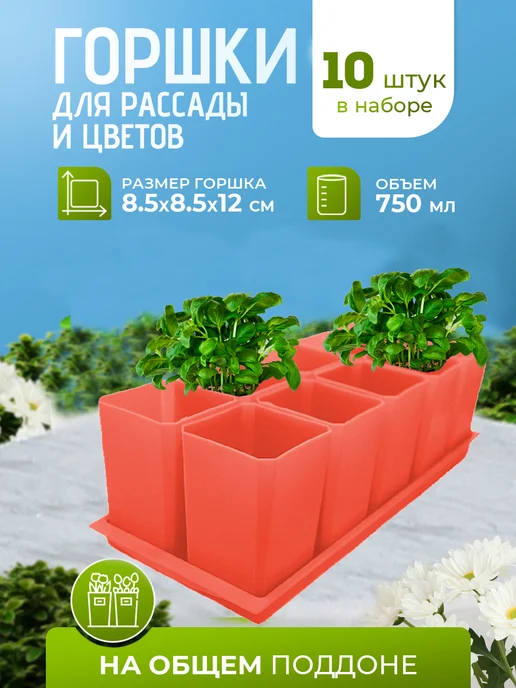Пеликан Горшки для рассады и цветов зеленые, коричневый, терракотовый