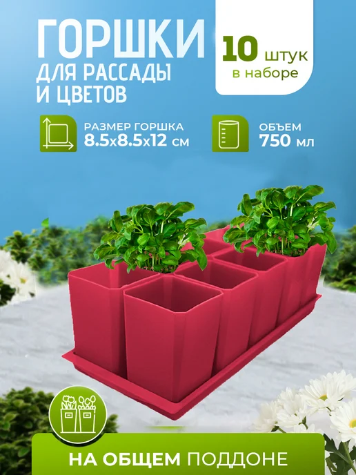 Пеликан Горшки для рассады и цветов фуксия, розовый
