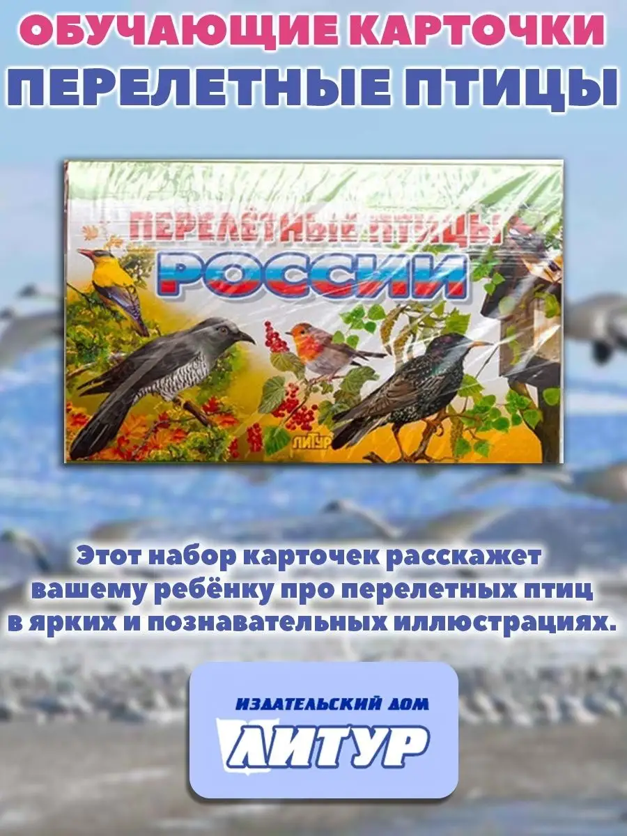 Обучающие карточки. Правила дорожного движения, Цветы, Птицы Издательство  Литур 10839106 купить за 399 ₽ в интернет-магазине Wildberries