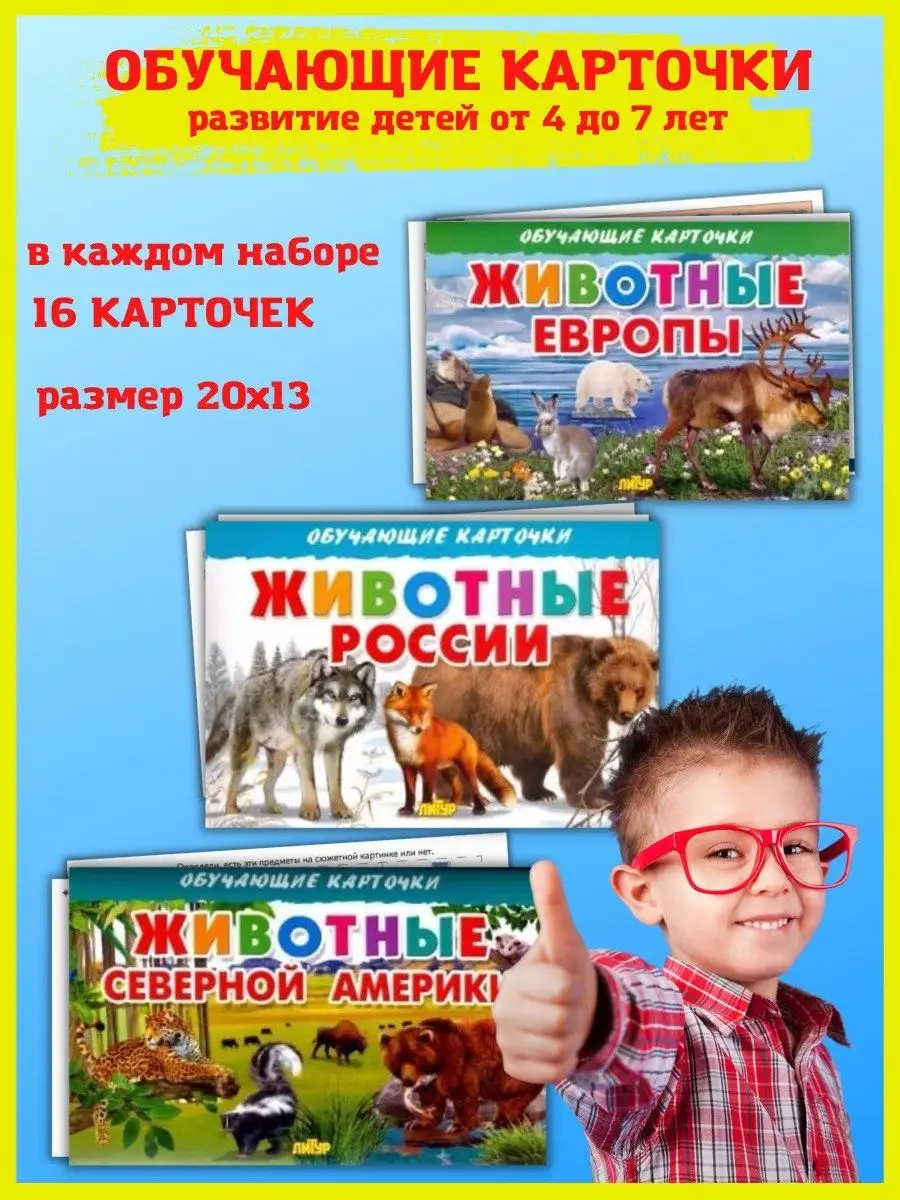 Обучающие карточки. Животные Сев. Америки, Европы, России Издательство  Литур 10839108 купить за 422 ₽ в интернет-магазине Wildberries