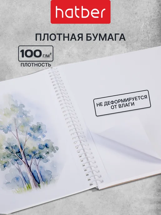 Hatber Альбомы для рисования А4 40 листов 2 штуки с машинами, черный, фото 2